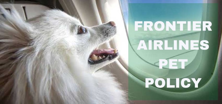 Frontier Airlines Pet Policy